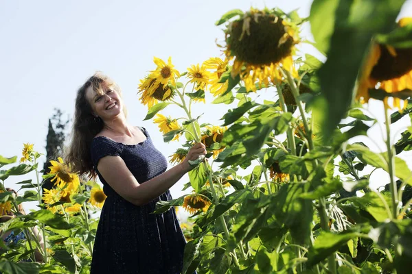 Portrait Happy Mature Woman Enjoying Freedom Sunflowers Field — Stock Photo, Image