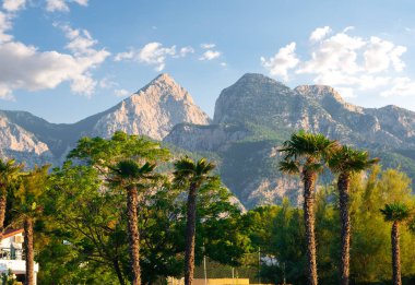 Park ve dağların kemer
