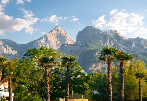 Park and mountains in Kemer — Stock Photo, Image