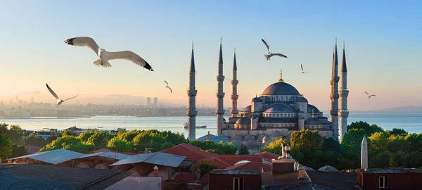 Mešita a Bospor v Istanbulu — Stock fotografie