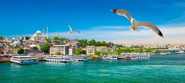 Gouden Hoorn Bay van Istanbul — Stockfoto