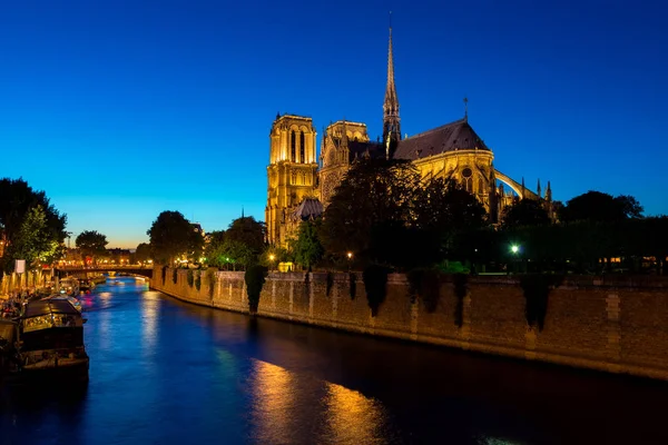 Noche sobre Notre Dame Fotos De Stock Sin Royalties Gratis