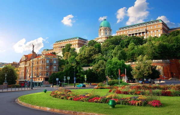 Castle Hill Royal Palace Budapest Hungary — Stock Photo, Image