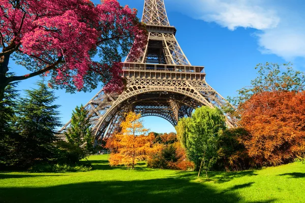 Trees in park of Paris in autumn — Stock Photo, Image