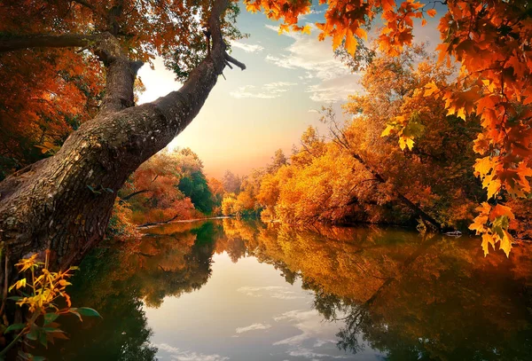Orange autumn on river — Stock Photo, Image