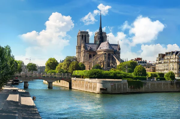 Notre dame de Paris 