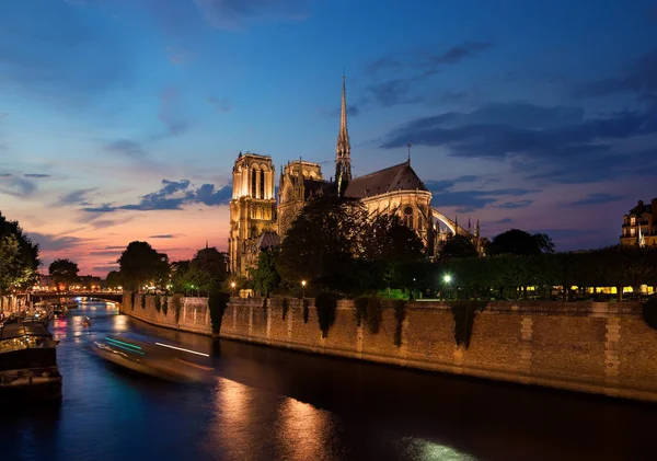 Notre Dame in avond Stockfoto