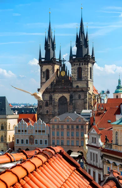 Tynsky catedral Praga — Foto de Stock
