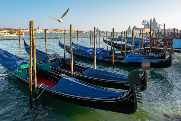 Gôndolas tradicionais em Veneza — Fotografia de Stock