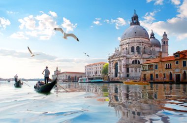 Martılar ve Grand Canal
