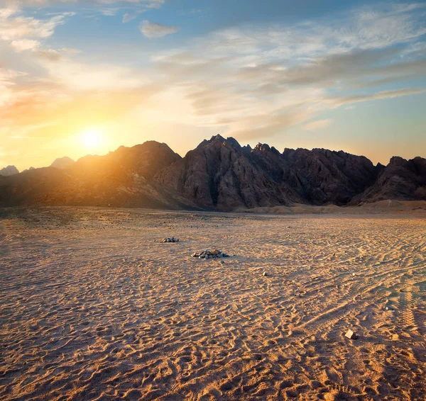 Pegadas no deserto — Fotografia de Stock