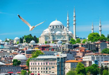 Suleymaniye Mosque in Turkey clipart