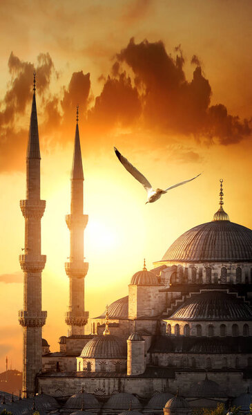 Blue mosque at sunrise