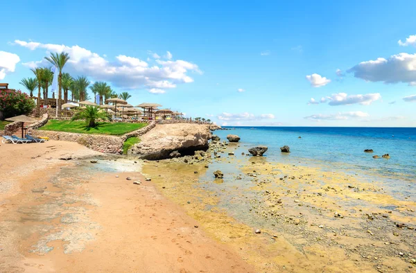 Récifs coralliens sur la plage — Photo