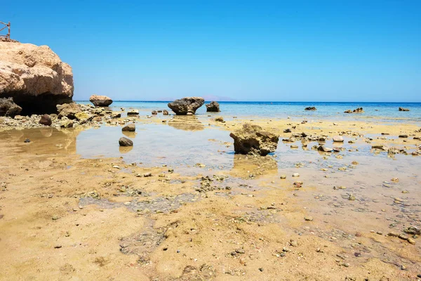 Coral reef Egypte — Stockfoto