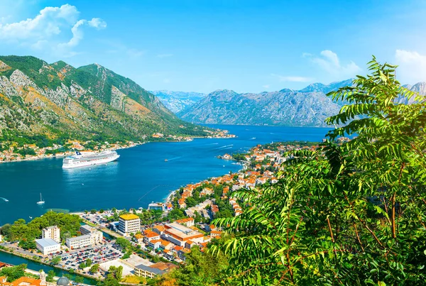 Vista na baía Kotor — Fotografia de Stock