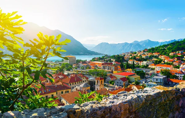 Veduta della baia di Boka Kotor — Foto Stock