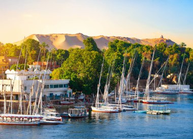 Aswan 'da Feluccalar