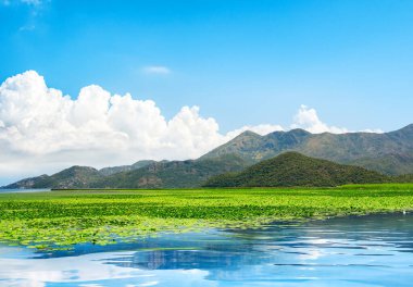 Skadar göl parkı