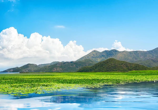 Skadar lake park