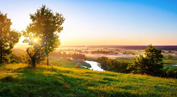 Rivière en été Photos De Stock Libres De Droits