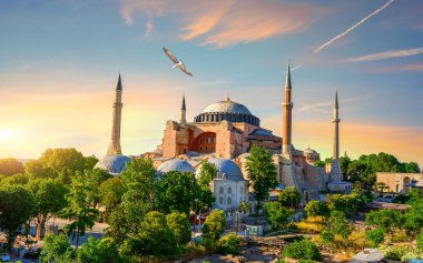 İstanbul 'da kuş