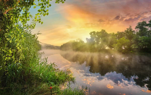 Večer Řece Lese — Stock fotografie