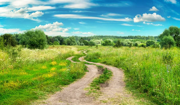 Country Road Field Sunny Day — Stock Photo, Image