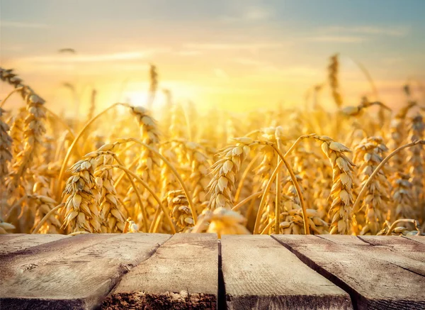 Wheat field and table — Stock Photo, Image