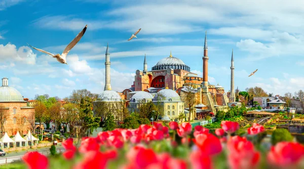 Hagia Sophia at day — Stock Photo, Image