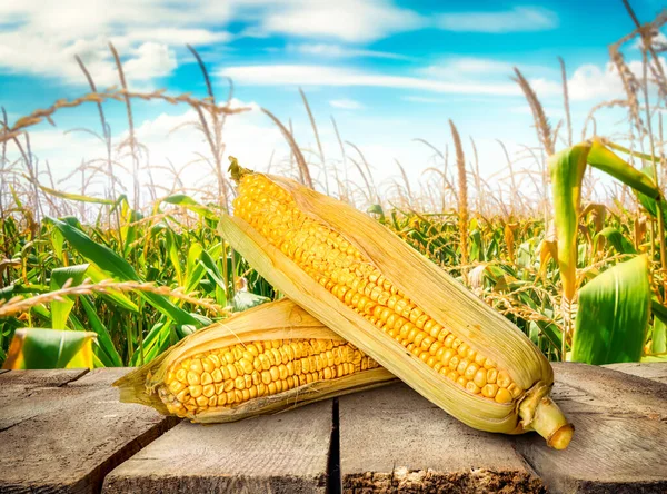 Mais auf dem Tisch — Stockfoto