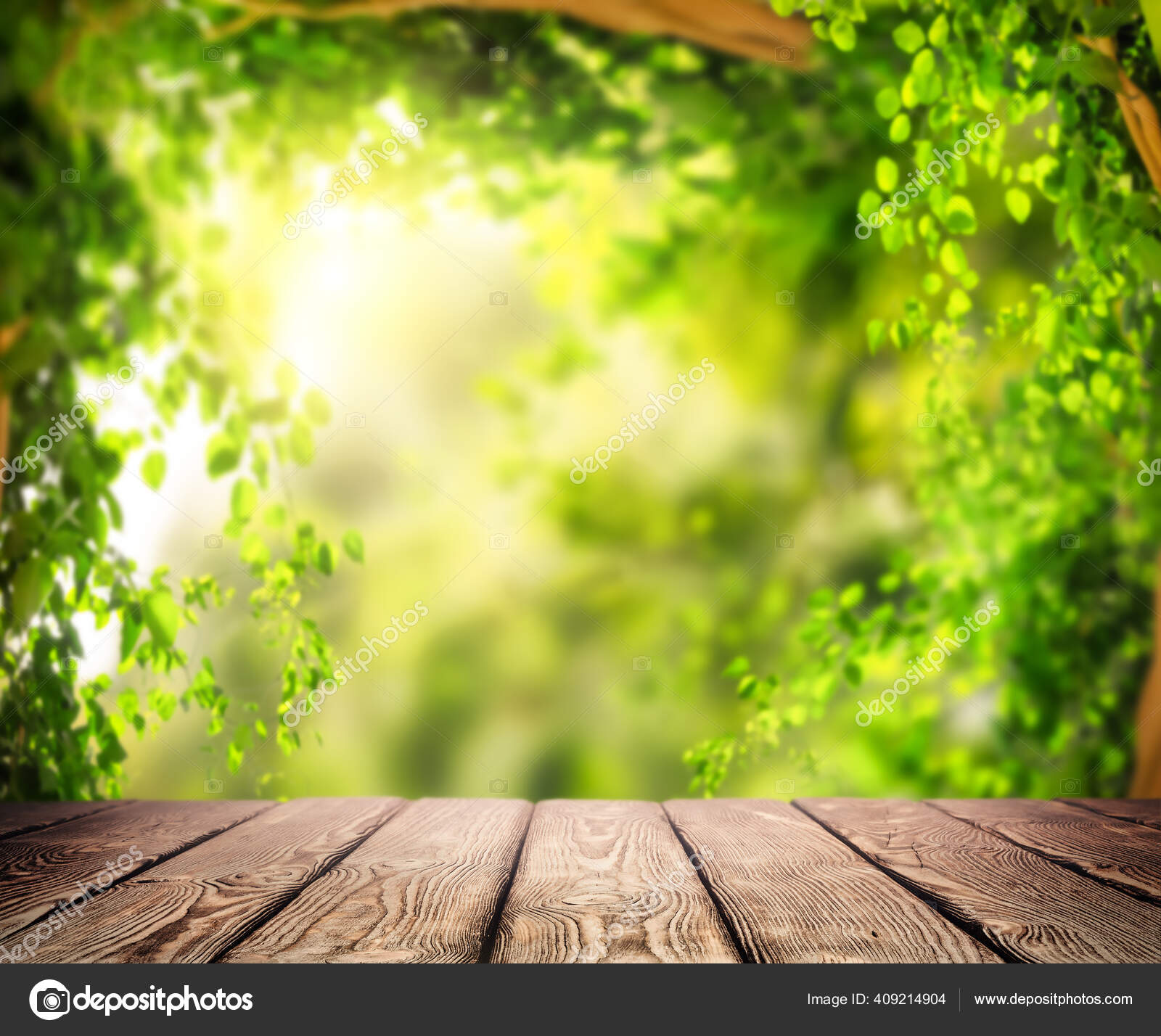 Background from garden Stock Photo by ©Givaga 409214904