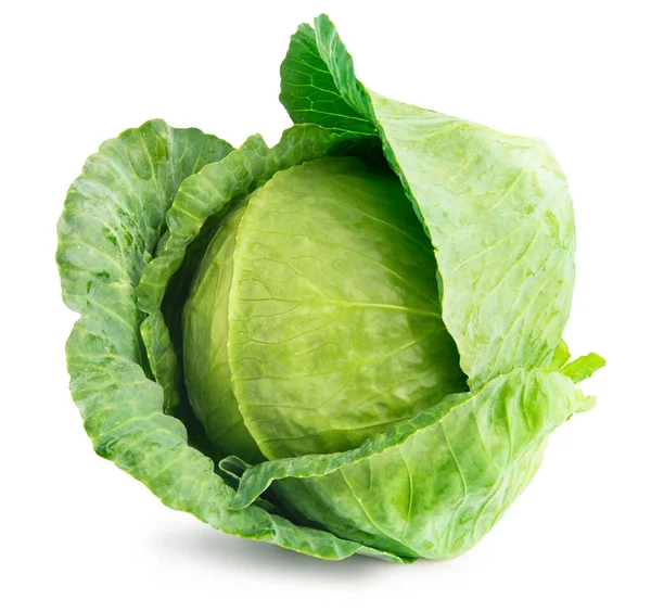 Head Green Cabbage — Stock Photo, Image