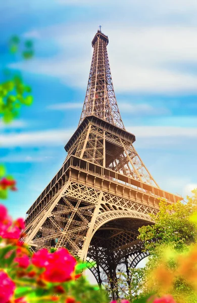 Spring in Paris — Stock Photo, Image