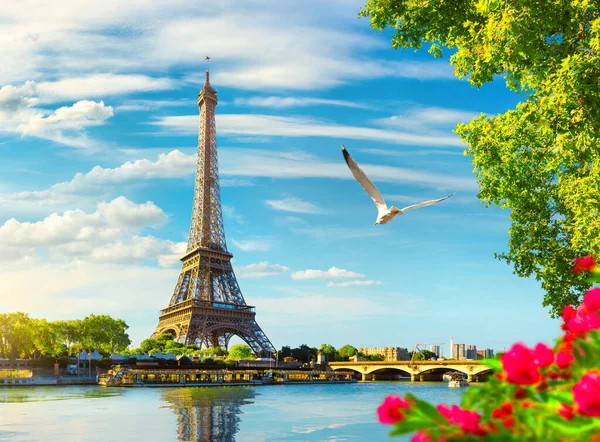 Seine in Paris with Eiffel Tower — Stock Photo, Image