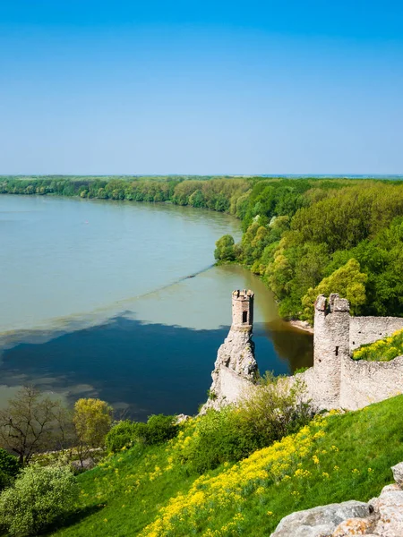 多瑙河和瓦河河的汇合在德文城堡之下 — 图库照片