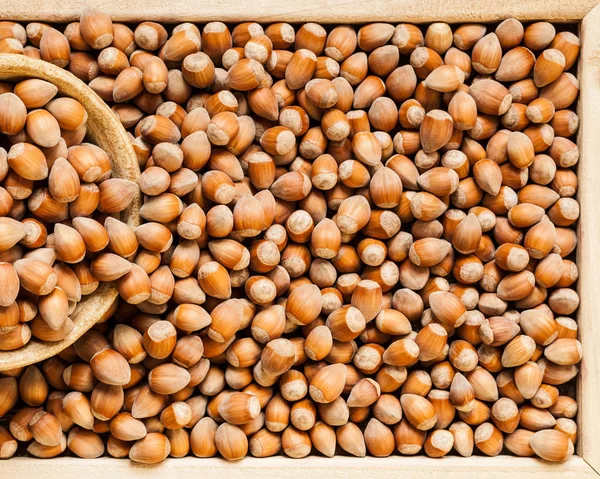 Moget Hasselnötter Som Mat Bakgrund Trälåda — Stockfoto