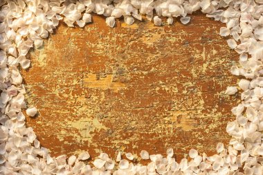 Bahar çiçek yaprakları çerçeve