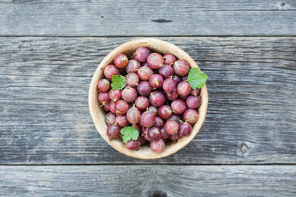 Mogen röd krusbär närbild — Stockfoto