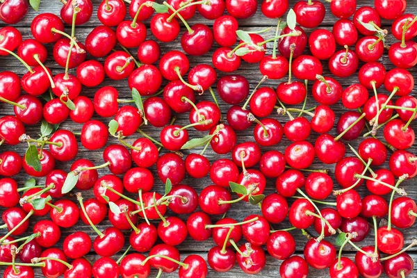 Close up view of fresh picked cherries — Stock Photo, Image