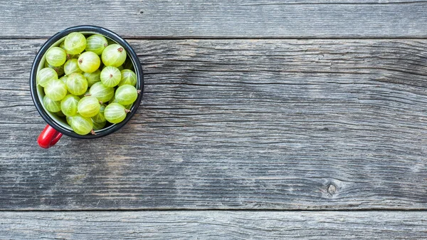 Mogen grön krusbär närbild — Stockfoto