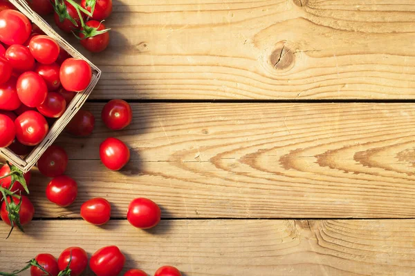 Tomates Juteuses Fraîchement Cueillies Dans Panier Bois — Photo