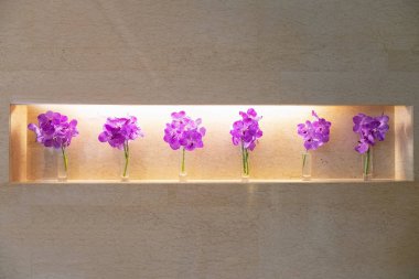 Row of Colorful purple orchids in small glass vases in hotel room clipart