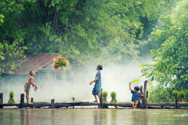 Ázsiai Gyerekek Mezőgazdasági Termelő Rizs Fából Készült Hídon Előtt Termesztett — Stock Fotó