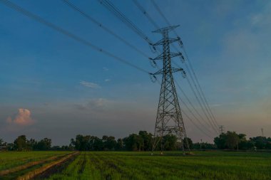 Günbatımına karşı bir alanda yüksek voltajlı elektrik hatları