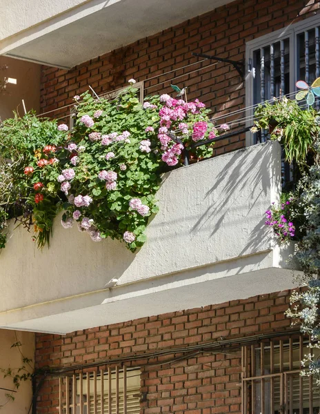 Balcony with flowers in Madrid — Stock Photo, Image