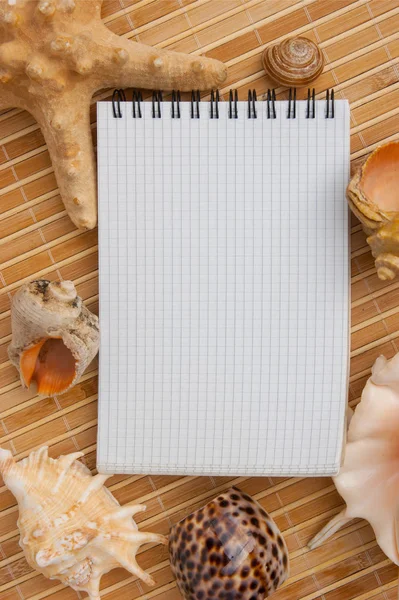 Cuaderno Para Registrar Notas Sobre Fondo Conchas Marinas Estrellas Mar —  Fotos de Stock