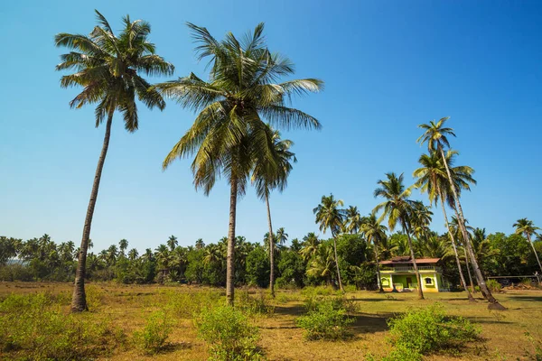 Maison Dans Jungle Tropicale Inde — Photo