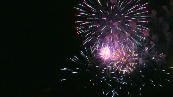 Fuegos Artificiales Festivos Multicolores Cielo Nocturno — Vídeo de stock