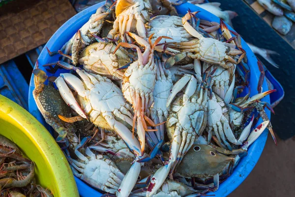 Verkauf Von Krabben Auf Den Märkten Verschiedener Städte Goa Und — Stockfoto